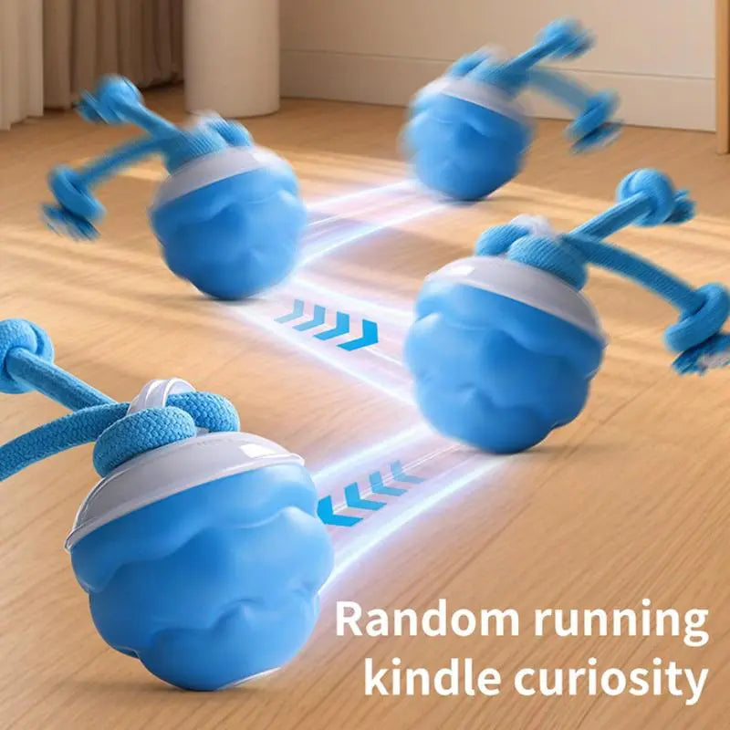 Interactive Dog Toys with Motion Activated