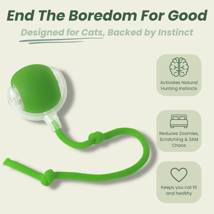 NESLEMY™Self-moving.Rechargeable. Endless play. Your cat's new obsession