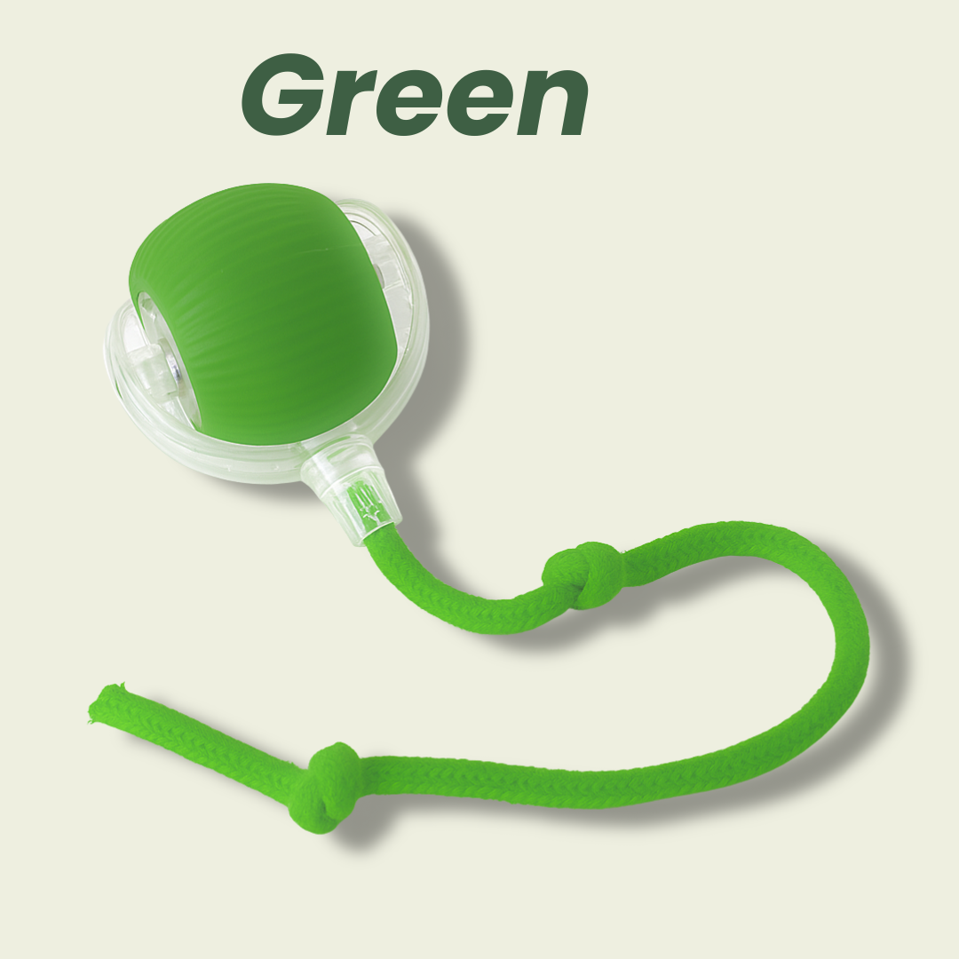 NESLEMY™Self-moving.Rechargeable. Endless play. Your cat's new obsession