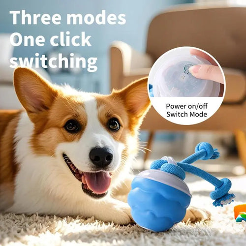 Interactive Dog Toys with Motion Activated