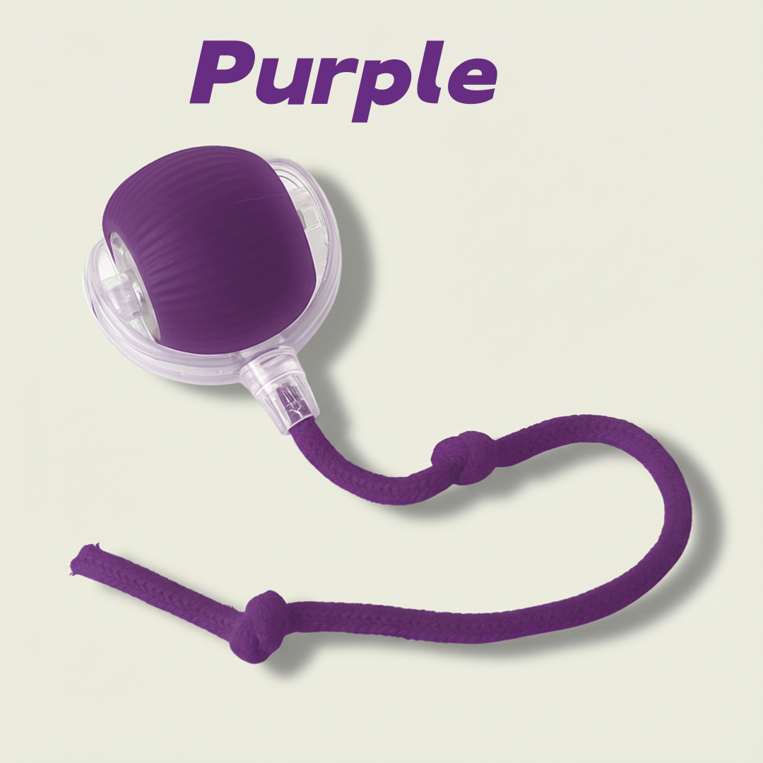 NESLEMY™Self-moving.Rechargeable. Endless play. Your cat's new obsession