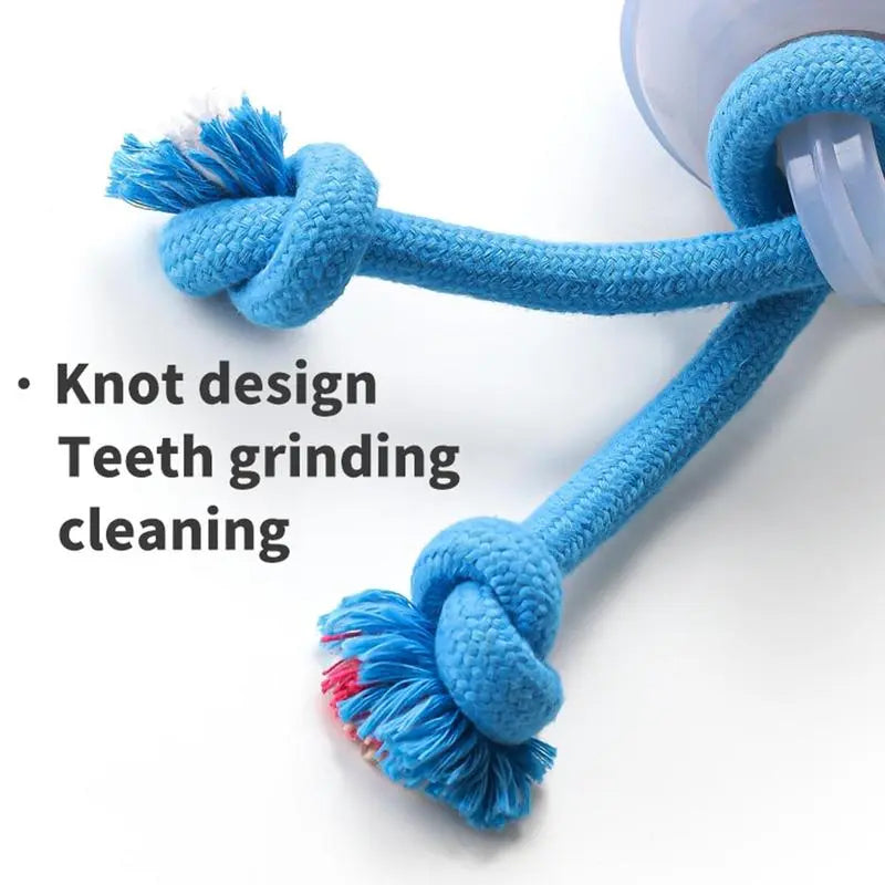 Interactive Dog Toys with Motion Activated