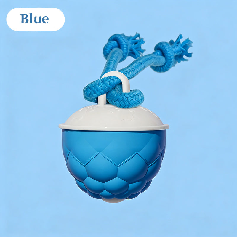 Interactive Dog Toys with Motion Activated