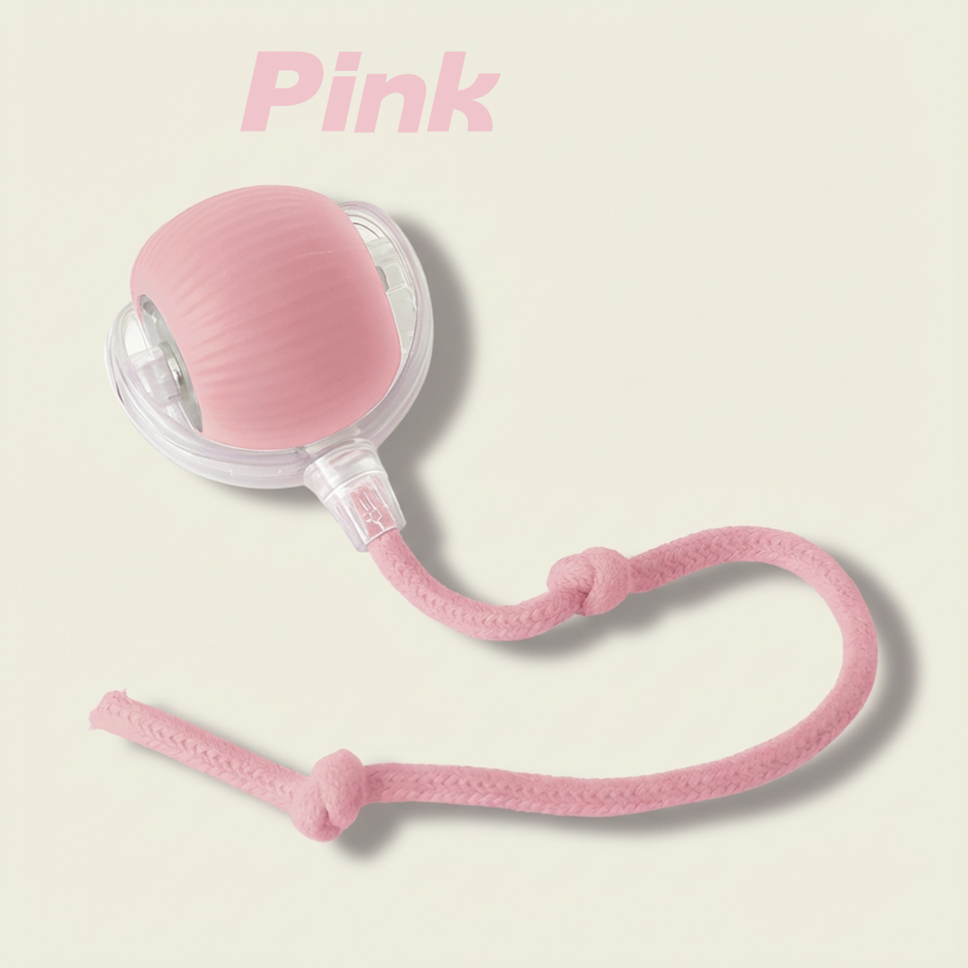 NESLEMY™Self-moving.Rechargeable. Endless play. Your cat's new obsession