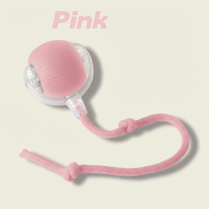 NESLEMY™Self-moving.Rechargeable. Endless play. Your cat's new obsession